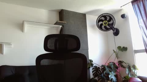 Jake online show from January 12, 2:52 pm