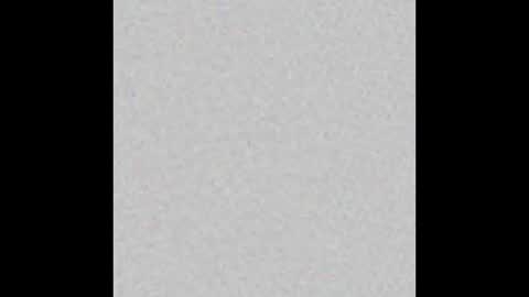 sebastian online show from January 7, 3:00 am