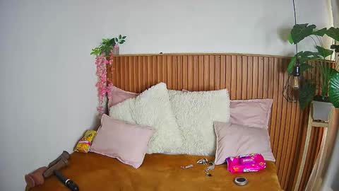 K I T T Y   online show from February 4, 8:24 pm