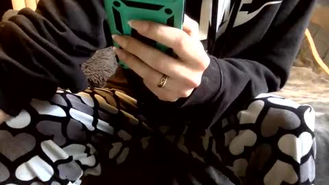 Kitty Sub online show from December 13, 7:53 pm