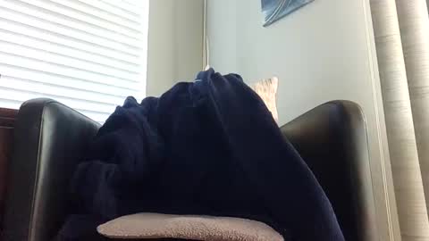 knightrider4324 online show from December 21, 7:06 pm