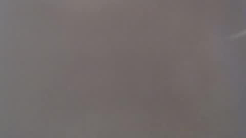 koekerdt online show from March 9, 11:25 am