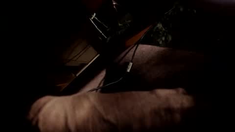 koekerdt online show from October 25, 2:06 pm