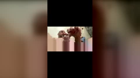 kofh99 online show from February 24, 7:55 am