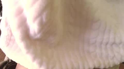 french wild dick online show from October 29, 1:02 pm