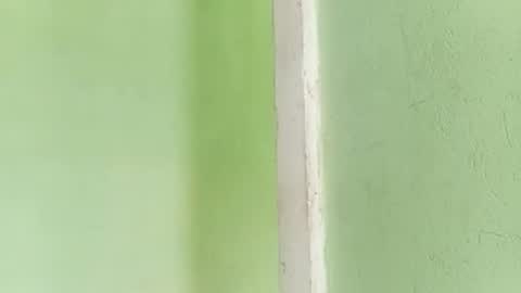 Prince makonnen  online show from November 17, 11:57 am