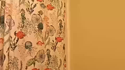 kyleisabadname online show from October 20, 12:48 am