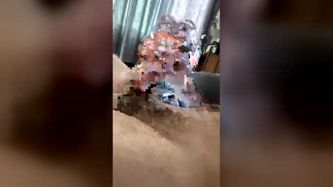 kyool online show from May 10, 3:51 pm