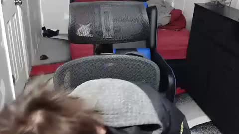 l1v1nth3dr3am online show from December 15, 12:01 pm