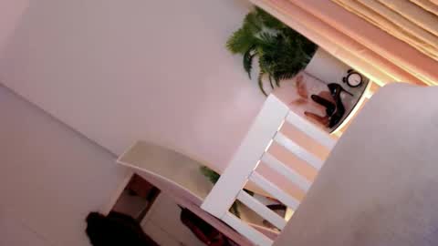 Stella online show from March 4, 10:34 am