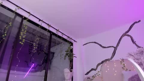 Lady  online show from November 14, 8:27 am