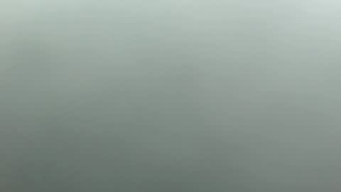 ANNIE online show from October 26, 3:18 am