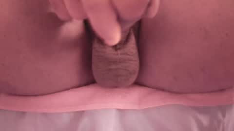 lamborghini3 online show from October 25, 9:30 am