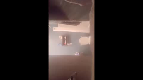 larrybostic45 online show from November 12, 9:33 am