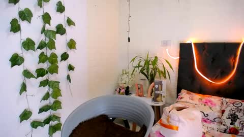 LAURA online show from May 12, 4:49 pm