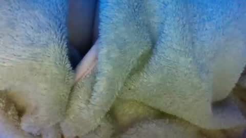 layannalea online show from April 9, 6:30 am