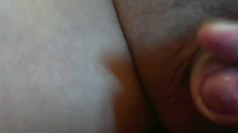 782194 online show from July 28, 11:59 pm