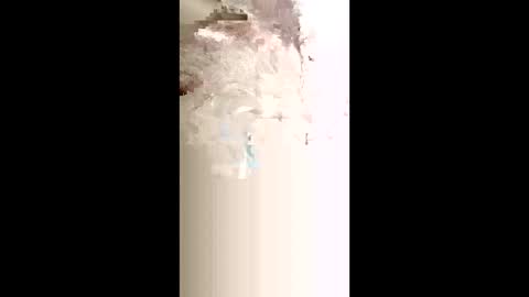 levis501bandant online show from January 15, 2:42 am