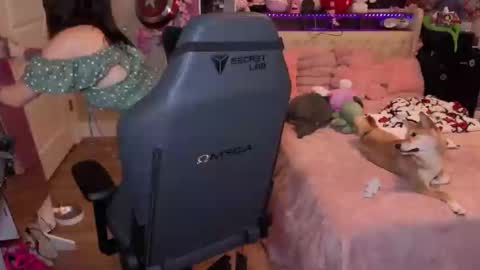 Lil Bunny online show from September 15, 8:54 pm