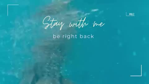 Lily online show from September 29, 11:53 am