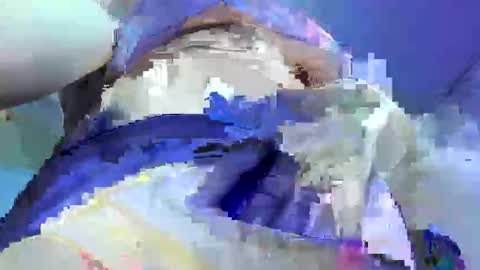 lily_stone04 online show from June 8, 5:52 am