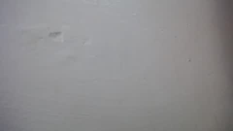 lisa_branch online show from October 27, 10:37 am