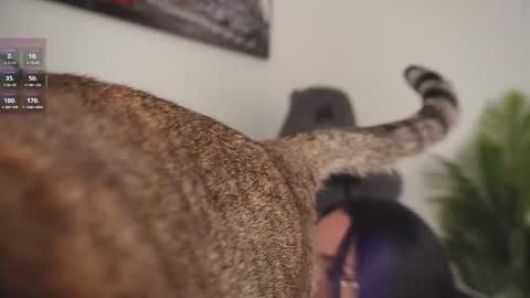 Help me reach 100 likes online show from February 21, 7:17 pm