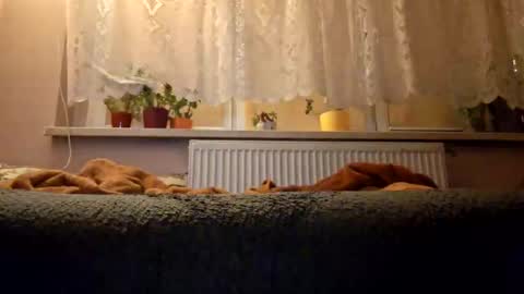 littlelargedick online show from December 11, 5:47 pm