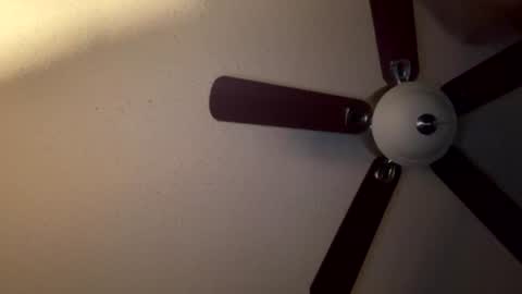 selffuck online show from August 2, 8:49 am