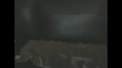 letmeliku online show from January 3, 11:03 am