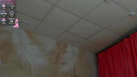 lizaloststar online show from November 29, 2:30 am