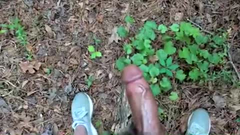 Lkstojrk online show from April 26, 1:42 pm