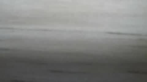 lockedpeepee online show from January 8, 8:18 pm