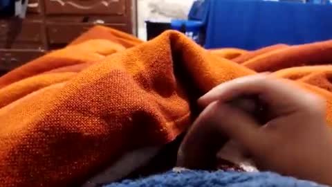 loganncky online show from March 5, 8:01 am