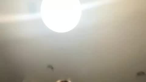 Snapshot of lovellly_ chatting on January 24, 10:51 pm Love online show from January 24, 10:51 pm