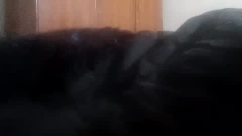 katrina follow me guys online show from January 1, 4:07 am