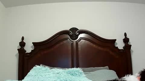 Queen Aria  online show from November 18, 9:07 pm