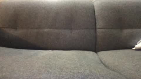 Snapshot of loyaltywashere chatting on September 13, 7:33 am Dynasty online show from September 13, 7:33 am