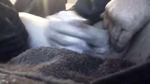 lubestroker4us online show from February 15, 12:04 pm