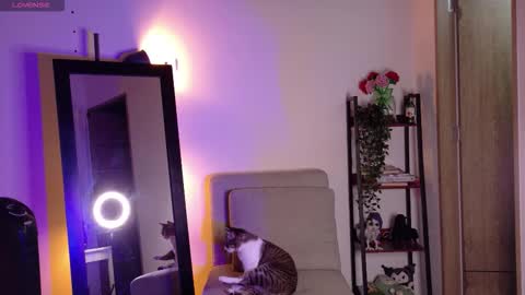 lucy meoww online show from January 8, 11:32 pm