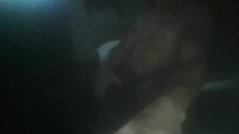 luizs23 online show from November 5, 4:58 am