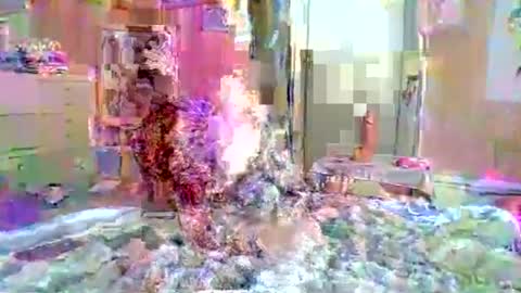 lunna_naughty online show from July 20, 11:50 pm