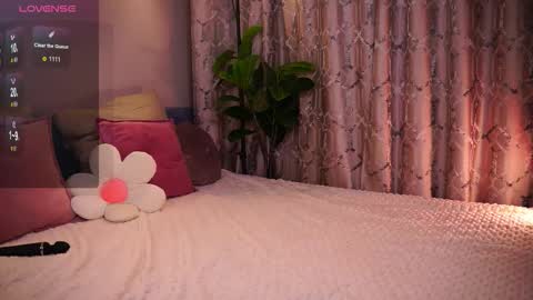 Eva online show from November 18, 3:26 pm