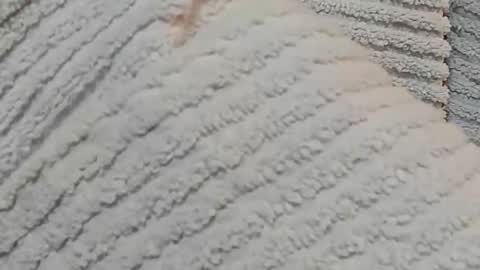 lustgardener67 online show from December 15, 7:24 am