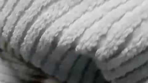 lustgardener67 online show from January 19, 7:15 am