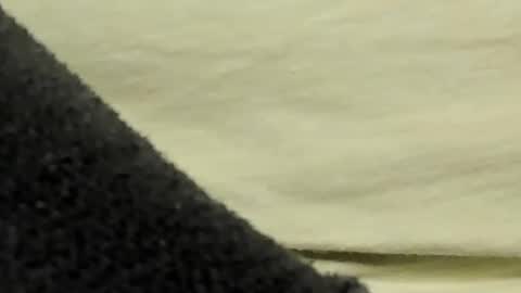 lustgardener67 online show from January 27, 7:35 pm