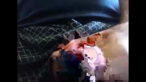 lutorres online show from September 10, 11:44 am