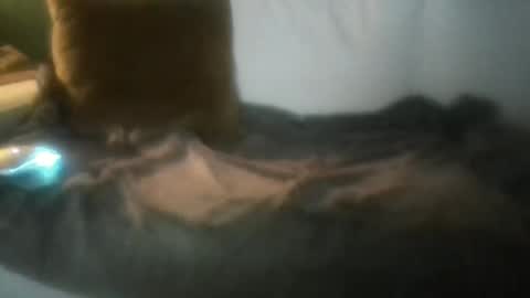 luvbigtits271 online show from January 1, 6:26 am