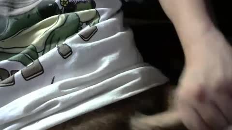 luvencouragement online show from October 9, 4:51 am