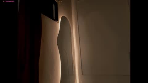 Snapshot of luxuryheaven chatting on October 22, 9:49 pm Tommy and Polly online show from October 22, 9:49 pm